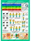 Компьютер и безопасность комплект из 2 плакатов